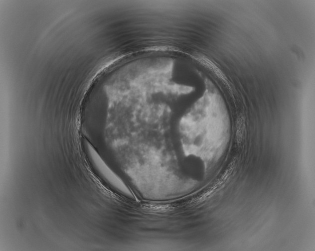 X0000113070831200909250927