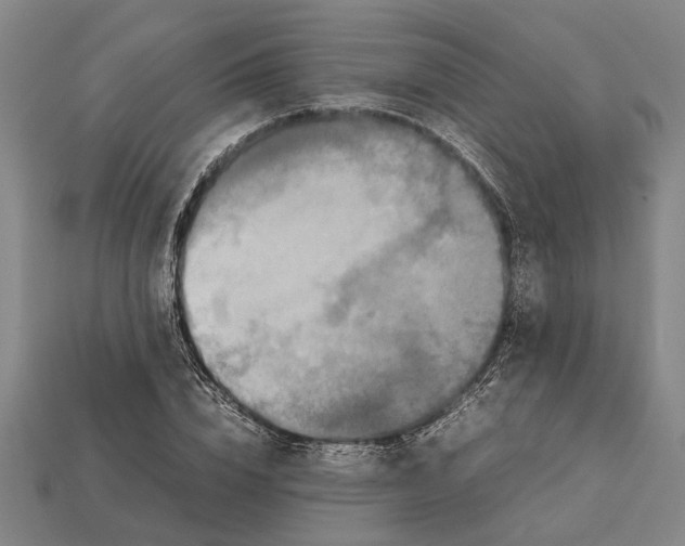 X0000113070832200909250927