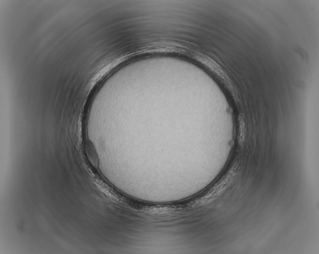 X0000113070834200909250927