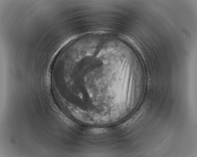 X0000113070835200909250927