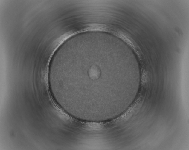 X0000113070836200909250927
