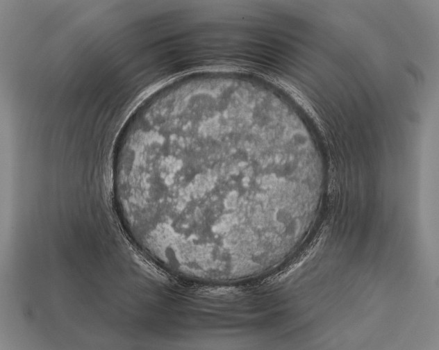 X0000113070837200909250927