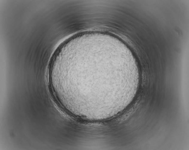 X0000113070838200909250927