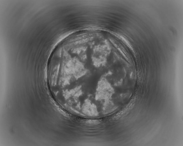 X0000113070839200909250927