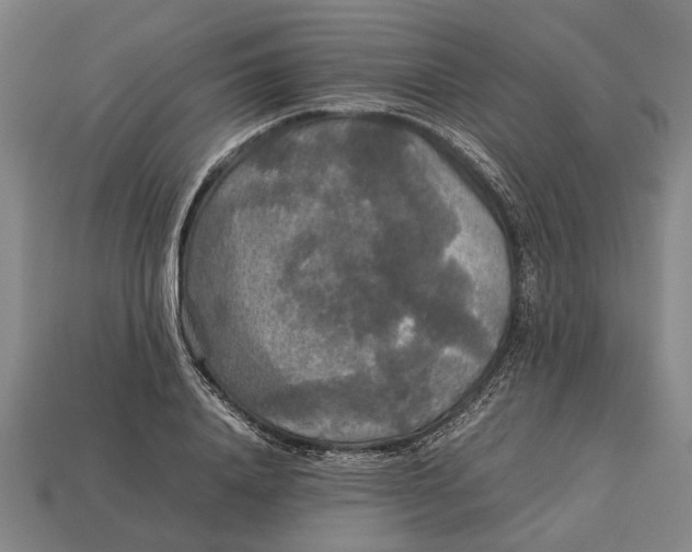 X0000113070840200909250927
