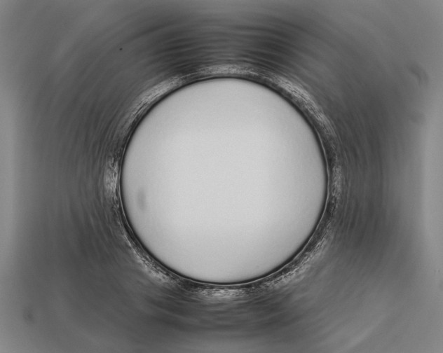 X0000113070841200909250927