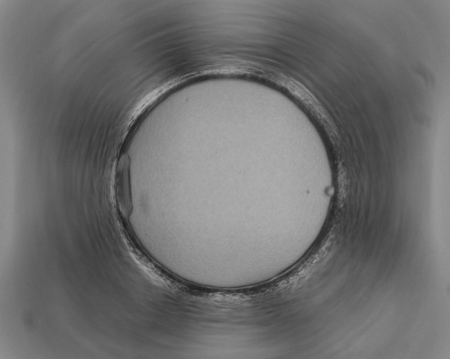 X0000113070842200909250927