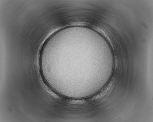 X0000113070843200909250927