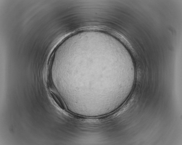 X0000113070844200909250927