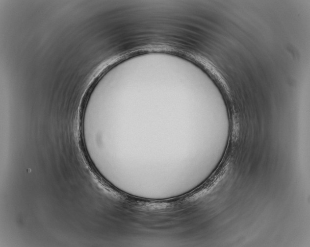X0000113070845200909250927