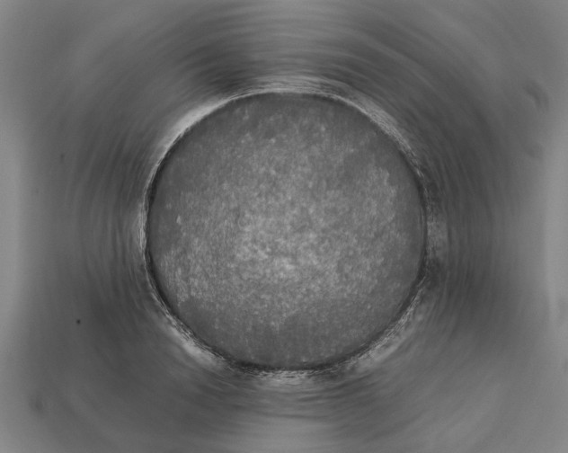 X0000113070846200909250927