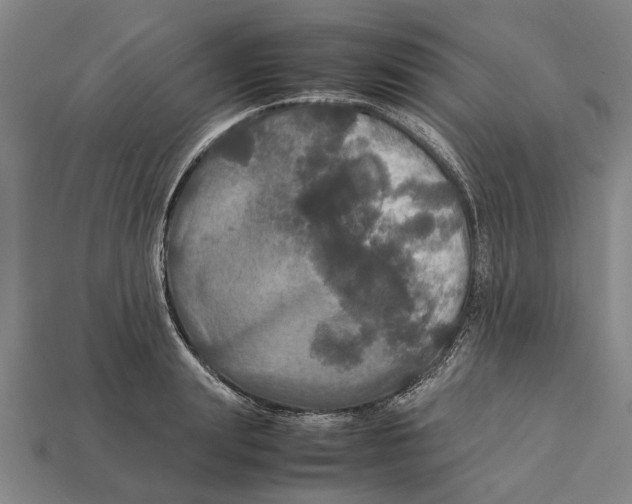 X0000113070847200909250927