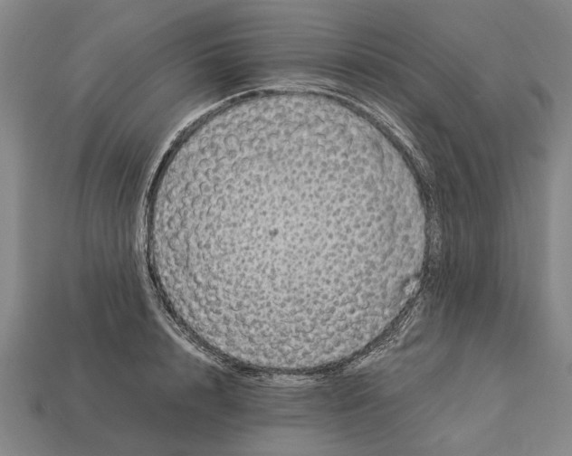 X0000113070848200909250927