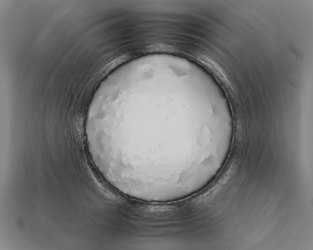 X0000113070849200909250927