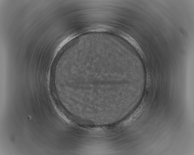 X0000113070850200909250927