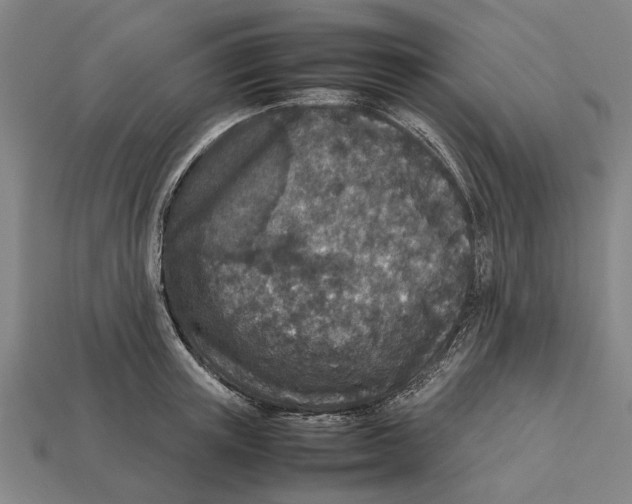 X0000113070851200909250927
