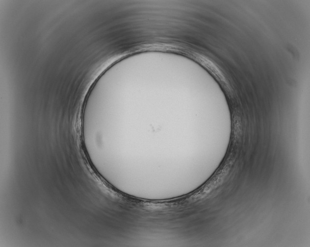 X0000113070852200909250927