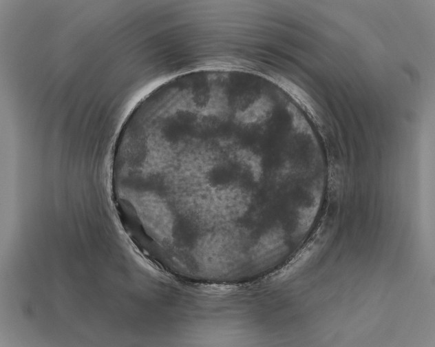X0000113070854200909250927