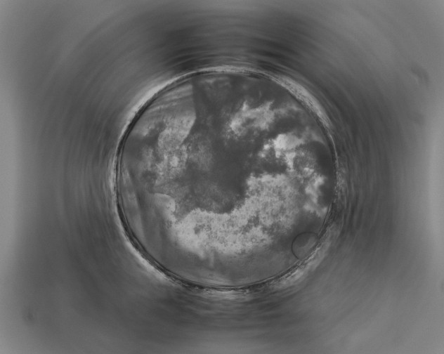 X0000113070855200909250927