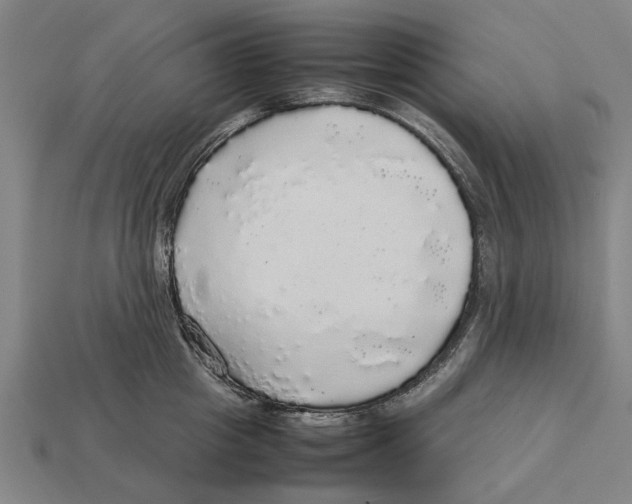 X0000113070857200909250927