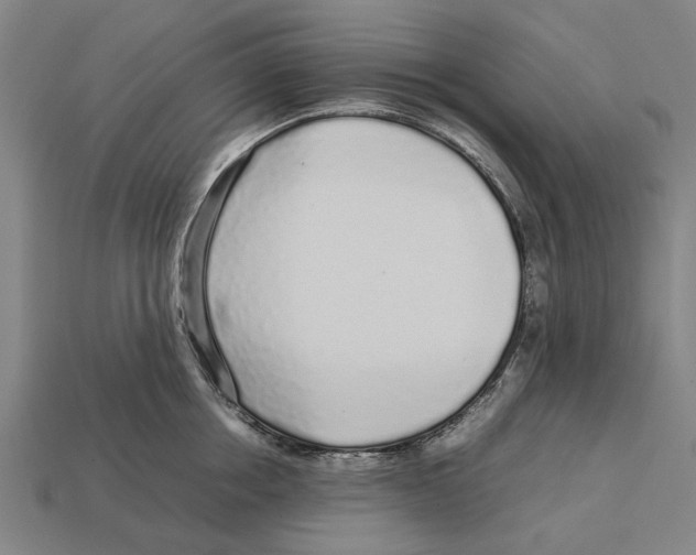 X0000113070858200909250927