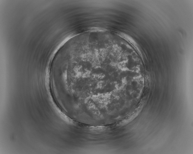 X0000113070859200909250927
