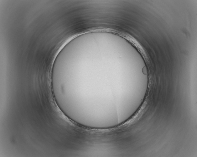 X0000113070860200909250927