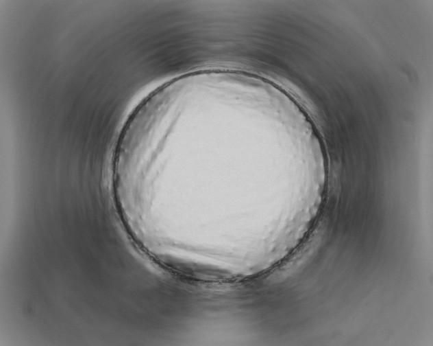 X0000113070862200909250928