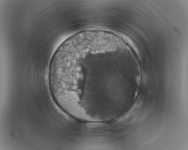 X0000113070863200909250928