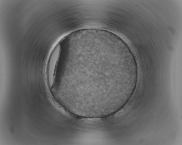 X0000113070864200909250928