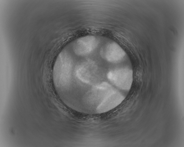 X0000113070865200909250927