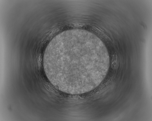 X0000113070866200909250927