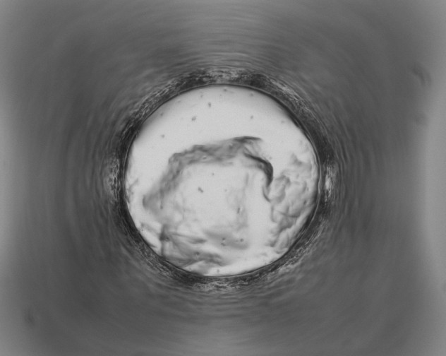 X0000113070867200909250927