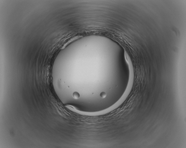 X0000113070868200909250927