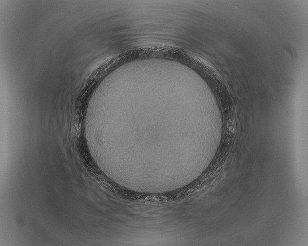 X0000113070869200909250927