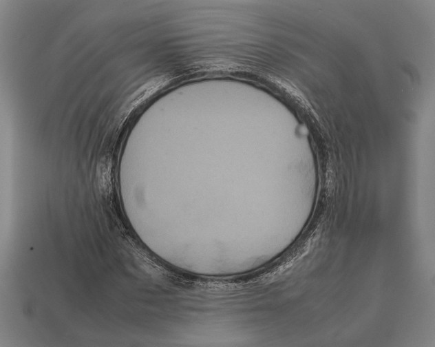 X0000113070873200909250927