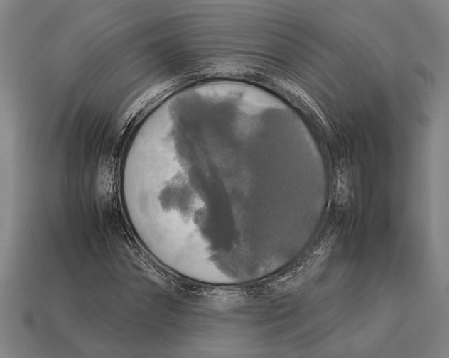 X0000113070874200909250927