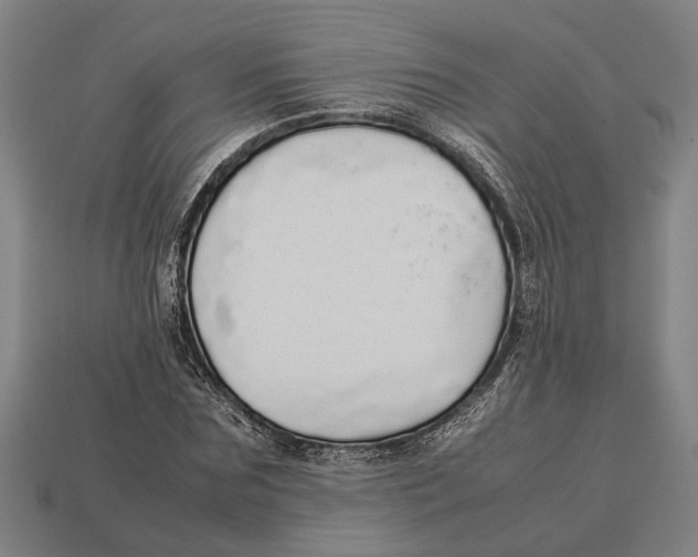 X0000113070875200909250927