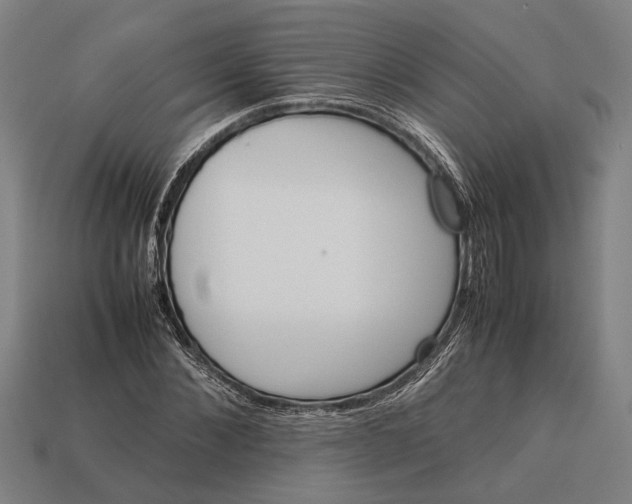 X0000113070876200909250927