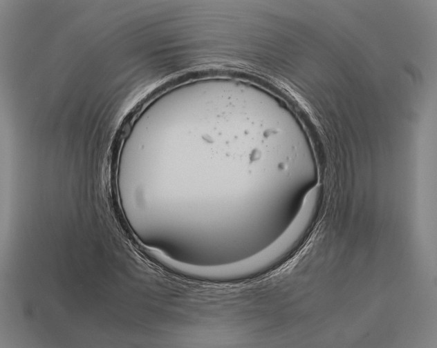 X0000113070877200909250927