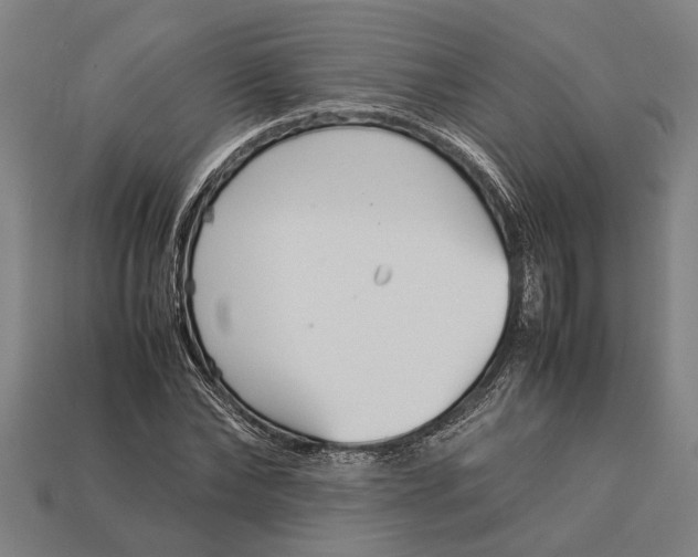 X0000113070878200909250927