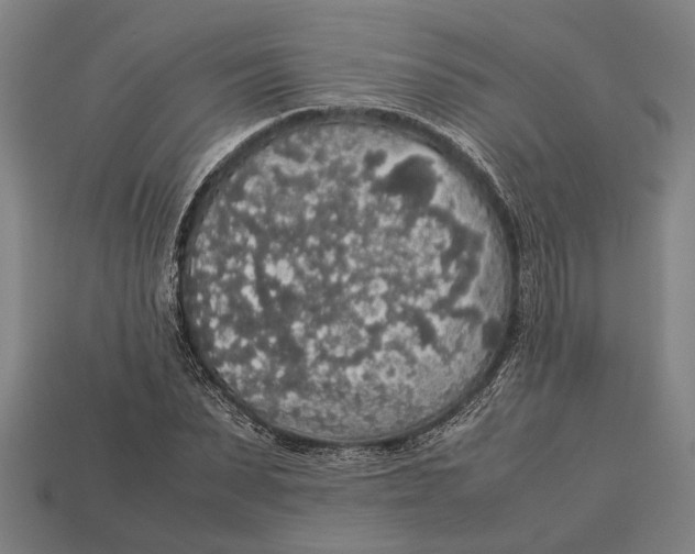 X0000113070879200909250927