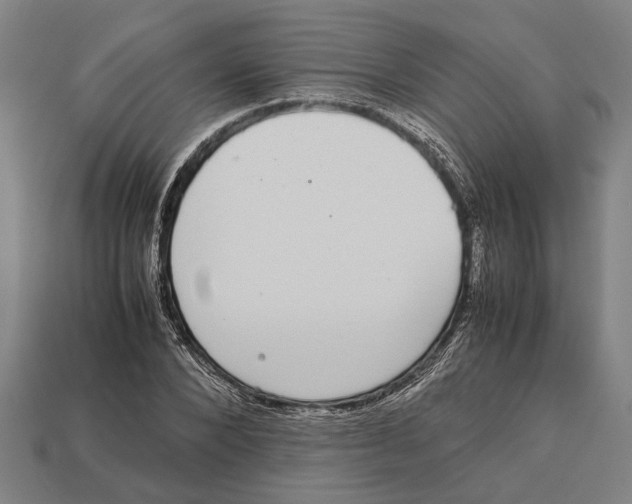 X0000113070880200909250927