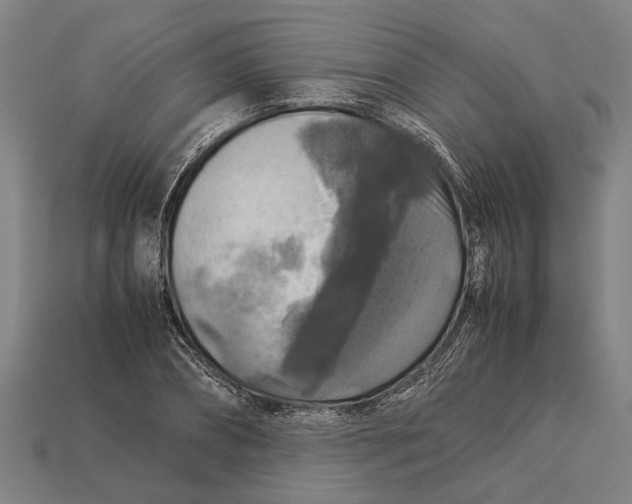 X0000113070882200909250927