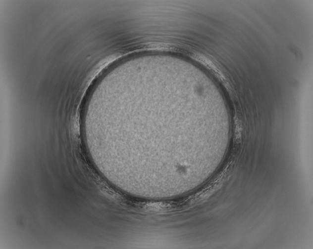 X0000113070883200909250927
