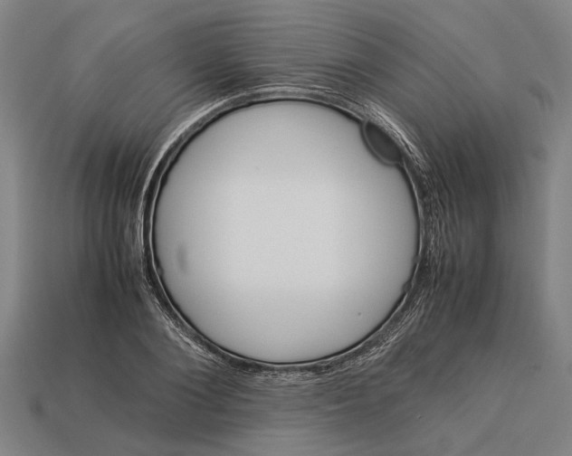 X0000113070884200909250927