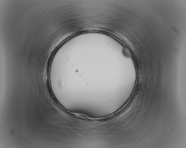X0000113070885200909250927
