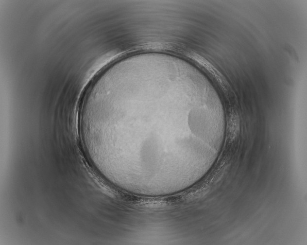 X0000113070886200909250927