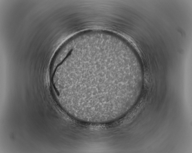 X0000113070887200909250927