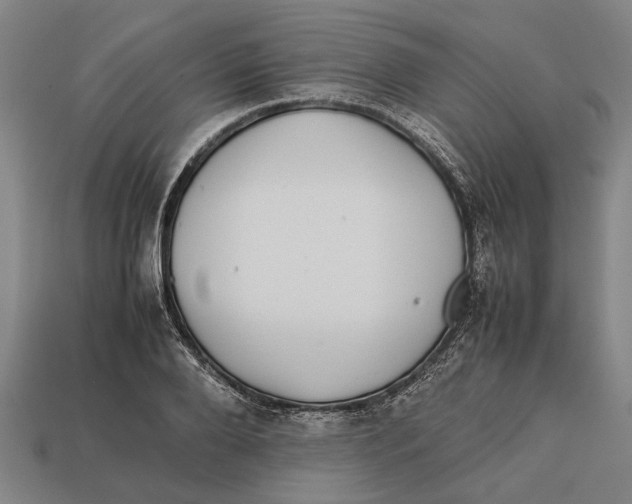 X0000113070888200909250927
